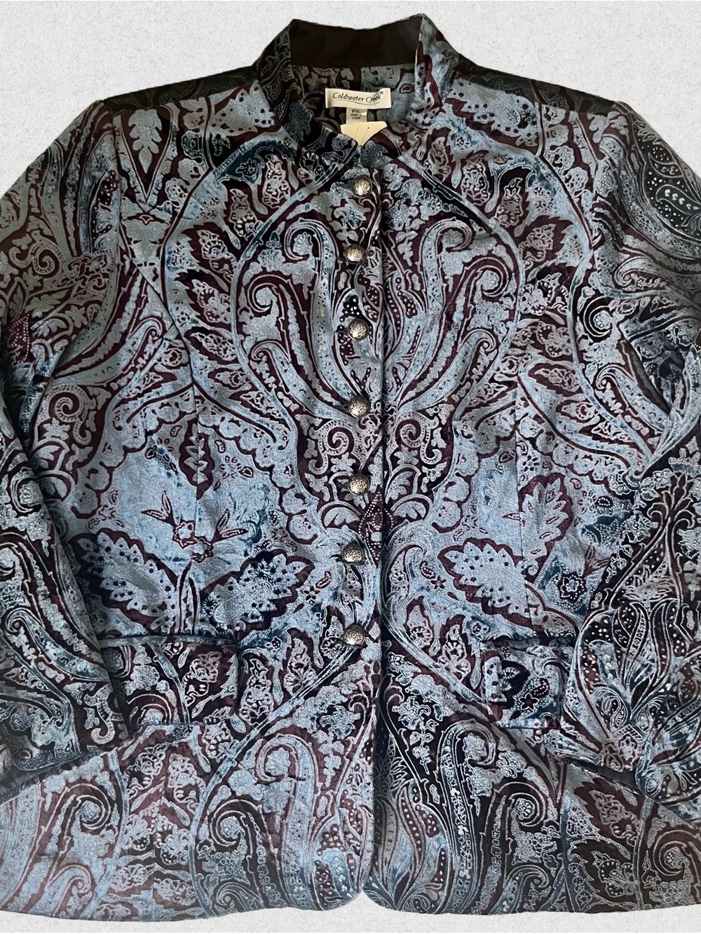 Vintage Blue Velvet Paisley Blazer, PXL Coldwater Creek